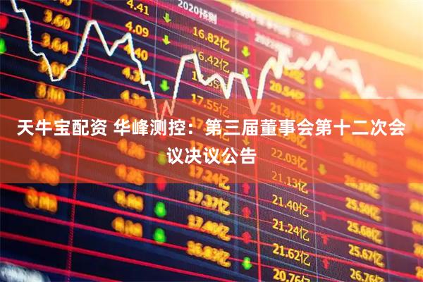 天牛宝配资 华峰测控：第三届董事会第十二次会议决议公告