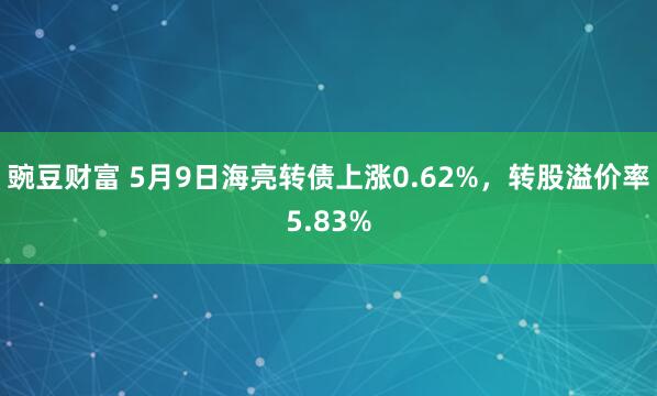 豌豆财富 5月9日海亮转债上涨0.62%，转股溢价率5.83%