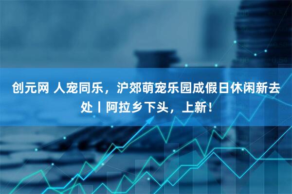 创元网 人宠同乐，沪郊萌宠乐园成假日休闲新去处丨阿拉乡下头，上新！