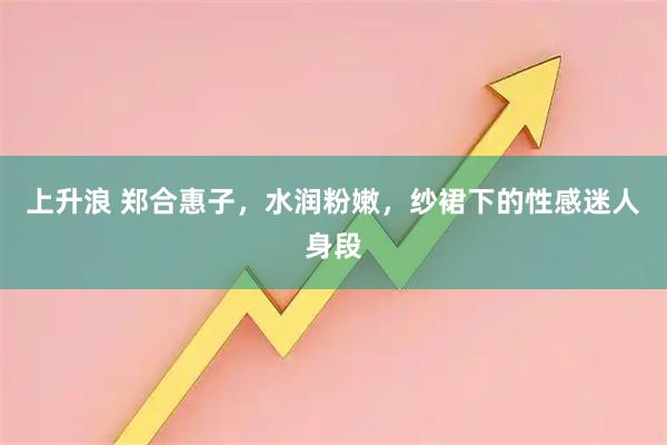 上升浪 郑合惠子，水润粉嫩，纱裙下的性感迷人身段